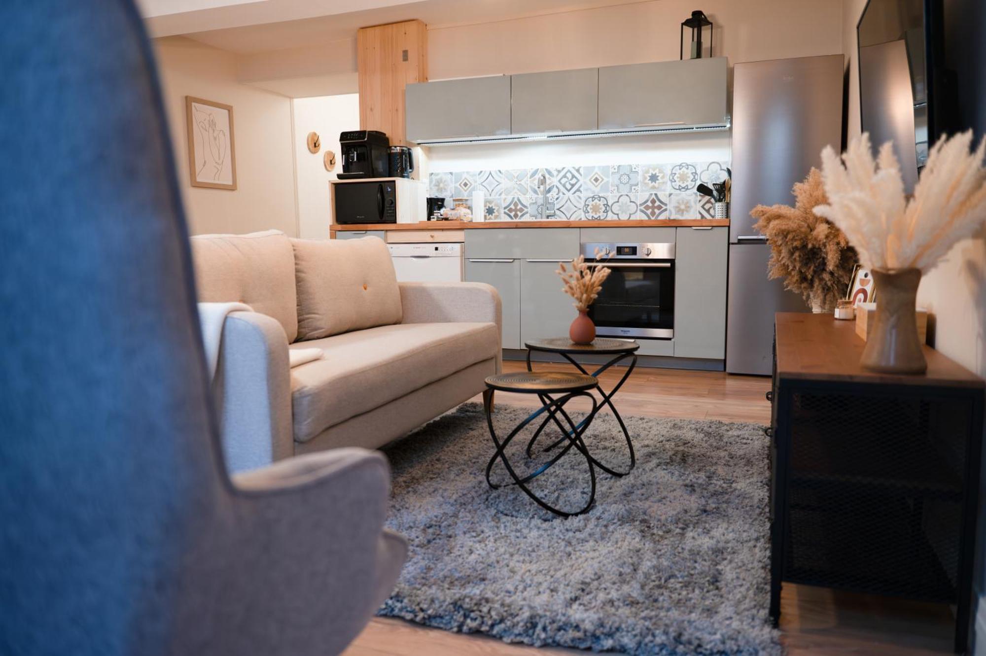 Chez Rose - Plein Centre Historique Apartment Лангр Екстериор снимка